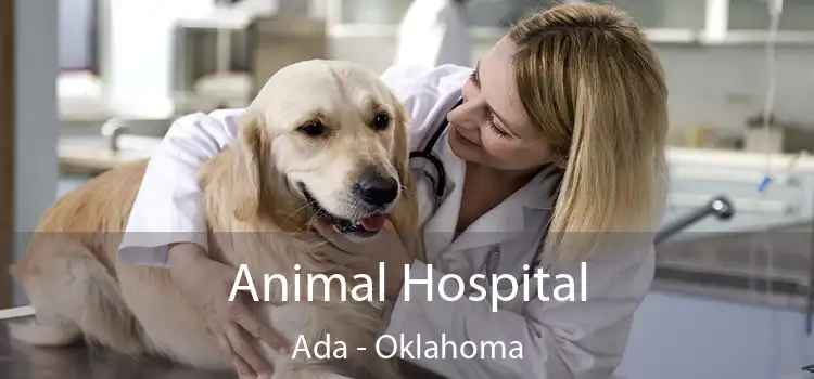 Animal Hospital Ada - Oklahoma