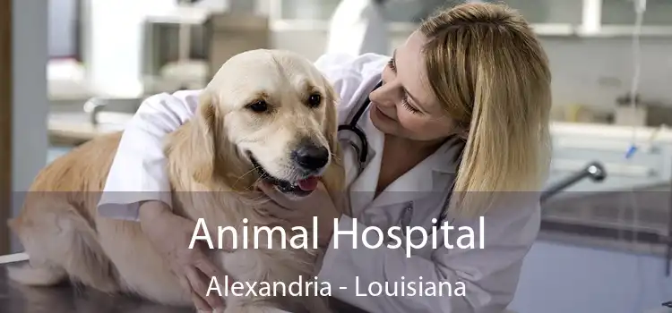 Animal Hospital Alexandria - Louisiana