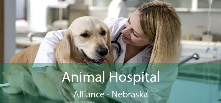 Animal Hospital Alliance - Nebraska