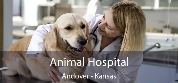 Animal Hospital Andover - Kansas