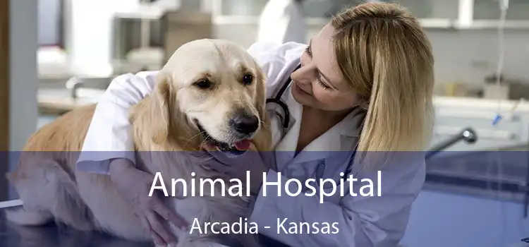 Animal Hospital Arcadia - Kansas