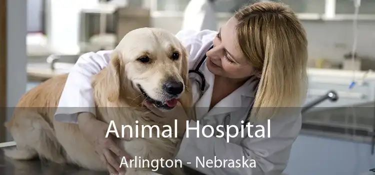 Animal Hospital Arlington - Nebraska