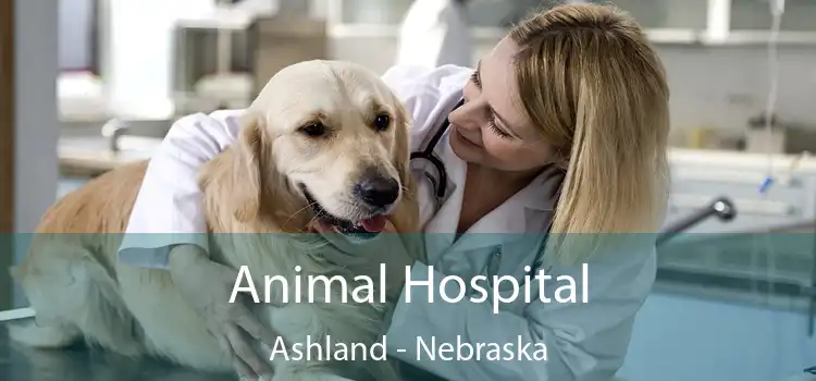 Animal Hospital Ashland - Nebraska