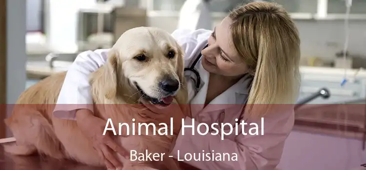 Animal Hospital Baker - Louisiana