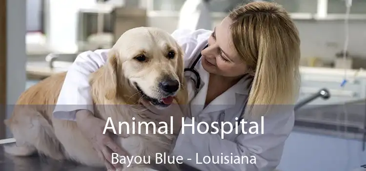 Animal Hospital Bayou Blue - Louisiana