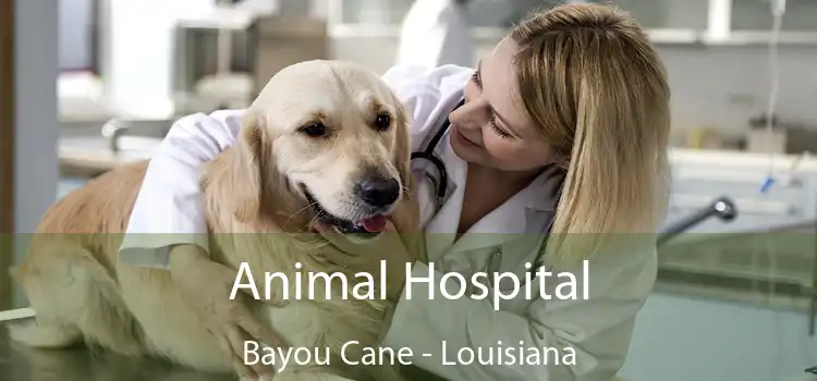 Animal Hospital Bayou Cane - Louisiana