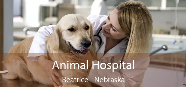 Animal Hospital Beatrice - Nebraska