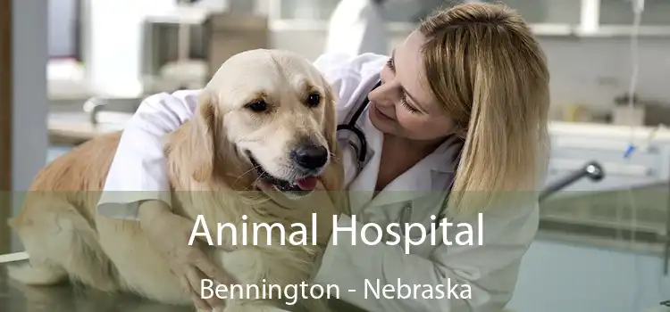 Animal Hospital Bennington - Nebraska