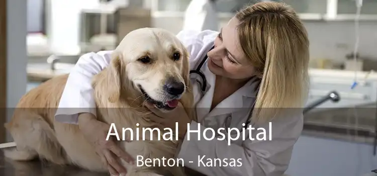 Animal Hospital Benton - Kansas