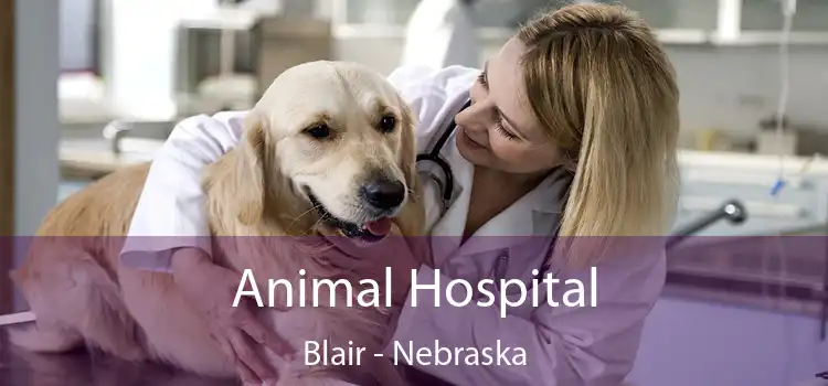 Animal Hospital Blair - Nebraska