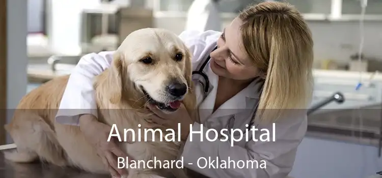 Animal Hospital Blanchard - Oklahoma