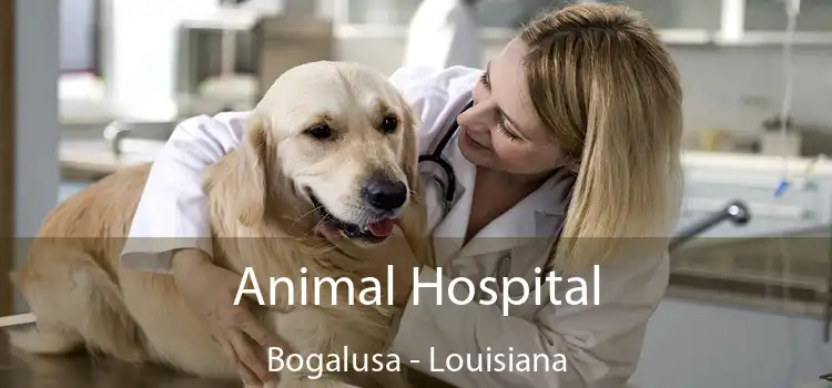 Animal Hospital Bogalusa - Louisiana