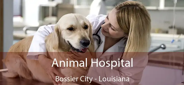 Animal Hospital Bossier City - Louisiana