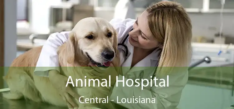 Animal Hospital Central - Louisiana