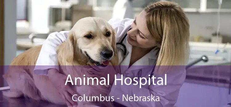 Animal Hospital Columbus - Nebraska