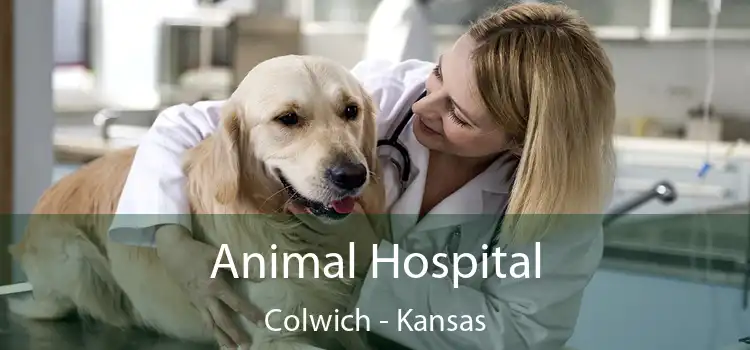 Animal Hospital Colwich - Kansas