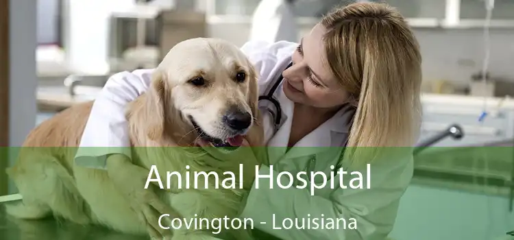 Animal Hospital Covington - Louisiana