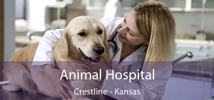 Animal Hospital Crestline - Kansas