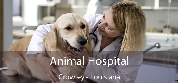 Animal Hospital Crowley - Louisiana