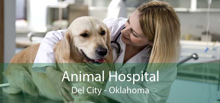 Animal Hospital Del City - Oklahoma