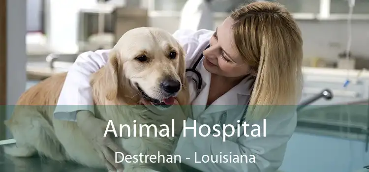 Animal Hospital Destrehan - Louisiana