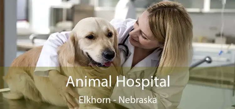 Animal Hospital Elkhorn - Nebraska