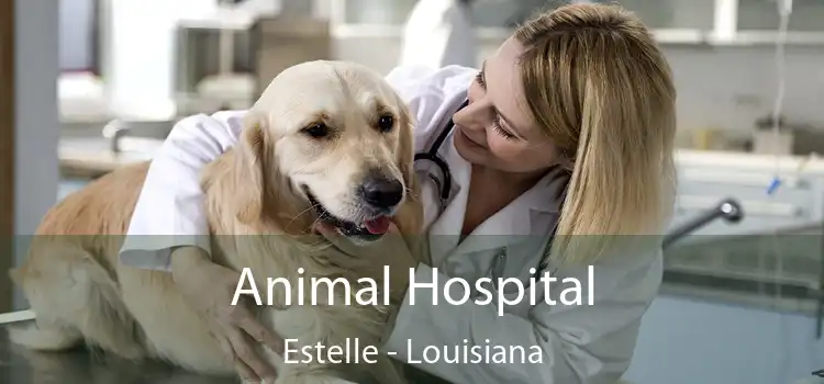 Animal Hospital Estelle - Louisiana