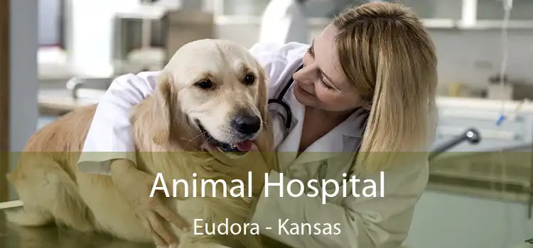 Animal Hospital Eudora - Kansas