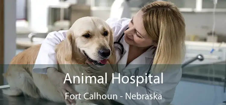 Animal Hospital Fort Calhoun - Nebraska