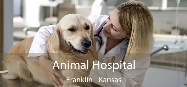 Animal Hospital Franklin - Kansas