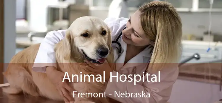 Animal Hospital Fremont - Nebraska