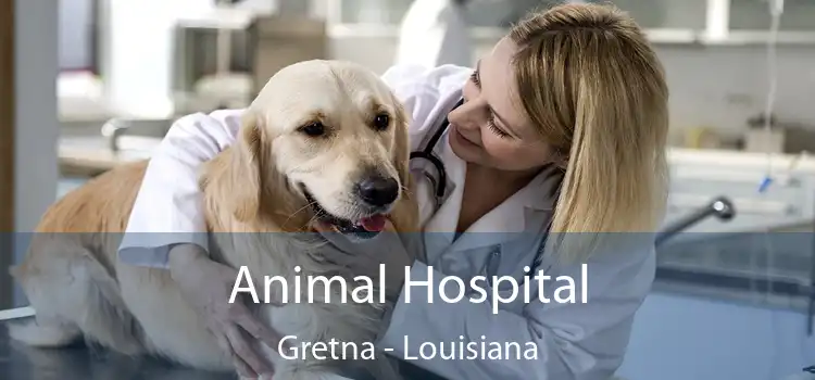 Animal Hospital Gretna - Louisiana