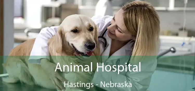 Animal Hospital Hastings - Nebraska