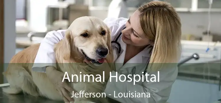 Animal Hospital Jefferson - Louisiana