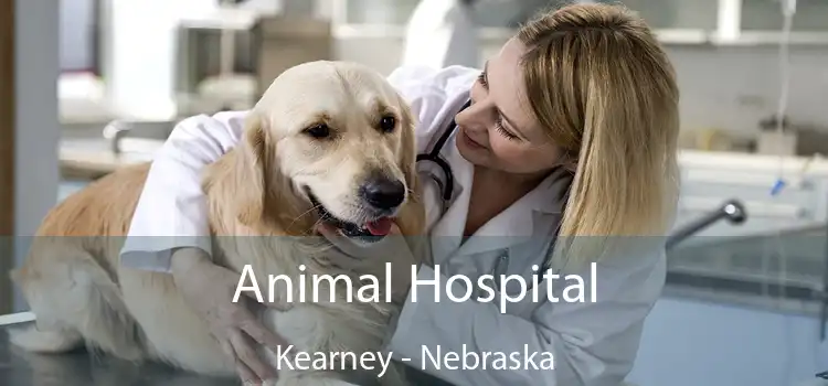 Animal Hospital Kearney - Nebraska