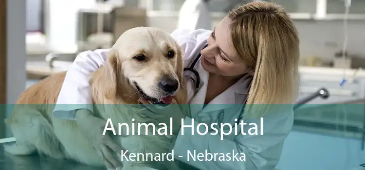 Animal Hospital Kennard - Nebraska