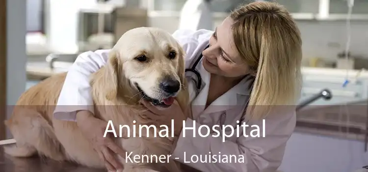 Animal Hospital Kenner - Louisiana