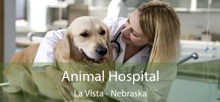 Animal Hospital La Vista - Nebraska