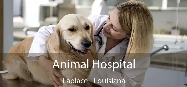 Animal Hospital Laplace - Louisiana