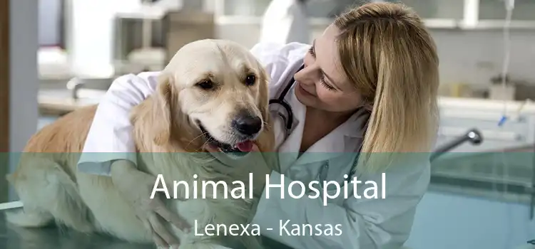 Animal Hospital Lenexa - Kansas