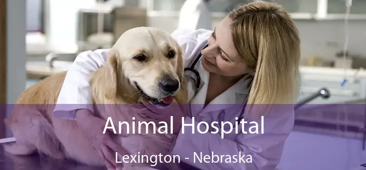 Animal Hospital Lexington - Nebraska