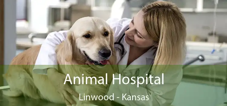 Animal Hospital Linwood - Kansas