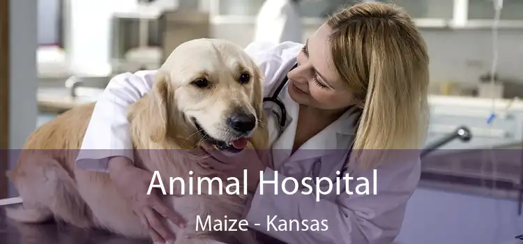 Animal Hospital Maize - Kansas