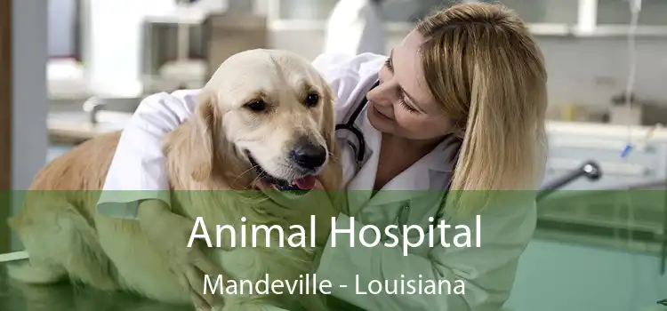 Animal Hospital Mandeville - Louisiana