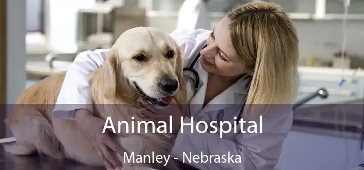 Animal Hospital Manley - Nebraska