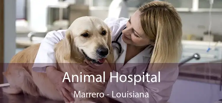 Animal Hospital Marrero - Louisiana