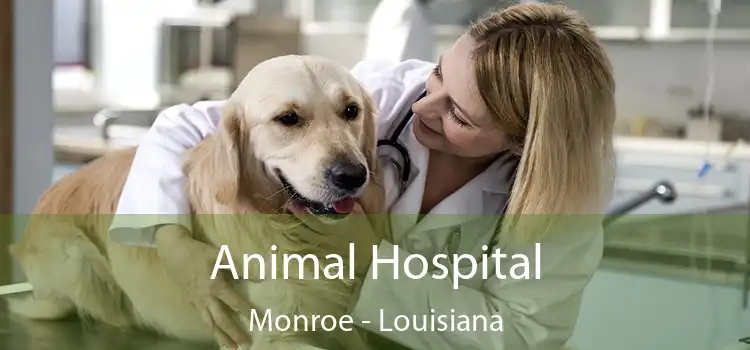 Animal Hospital Monroe - Louisiana