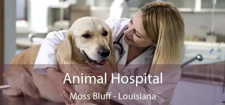 Animal Hospital Moss Bluff - Louisiana