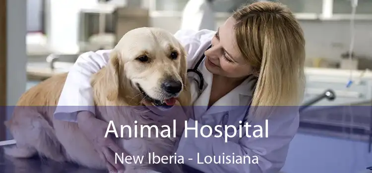 Animal Hospital New Iberia - Louisiana