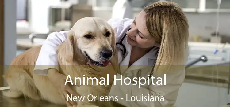 Animal Hospital New Orleans - Louisiana